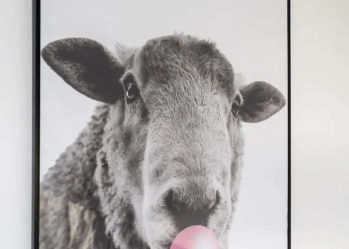 Dom Czarna Owca - Widok Na Gory, Sauna Karpacz