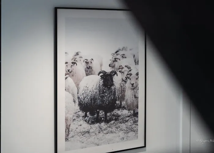 Dom Czarna Owca - Widok Na Gory, Sauna Karpacz